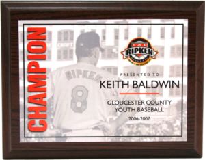 Babe Ruth Full Color "Team" Award Activity Plaques