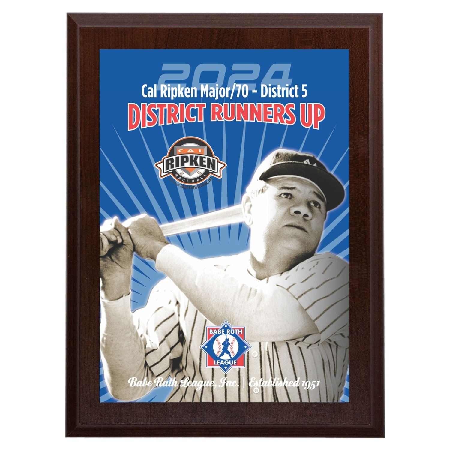 Babe Ruth Full Color District Award Plaques